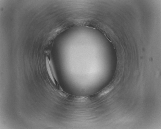 X0000072520432200608041537