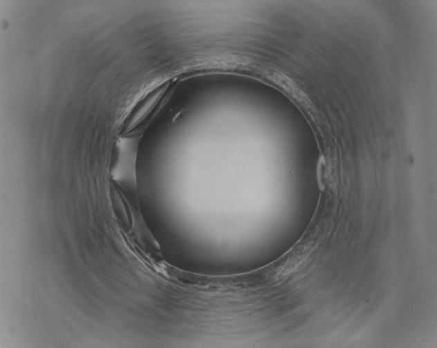 X0000072520434200608041536