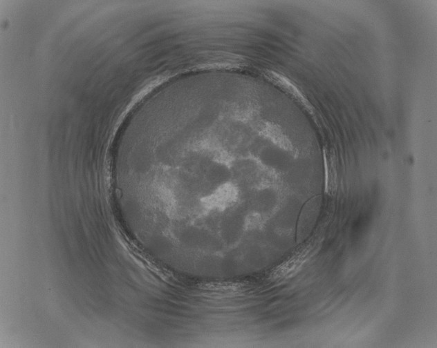 X0000072520435200608041536