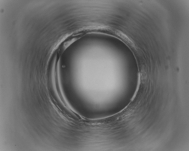 X0000072520436200608041536