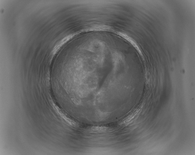 X0000072520437200608041536