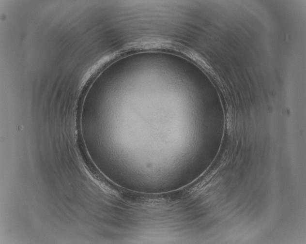 X0000072520438200608041536