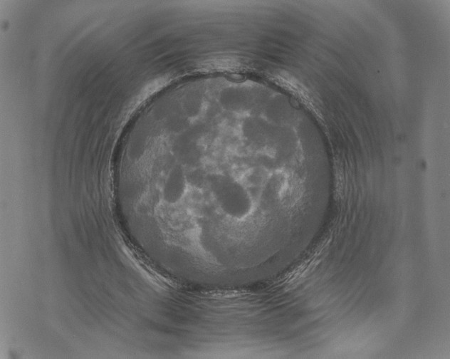 X0000072520439200608041536