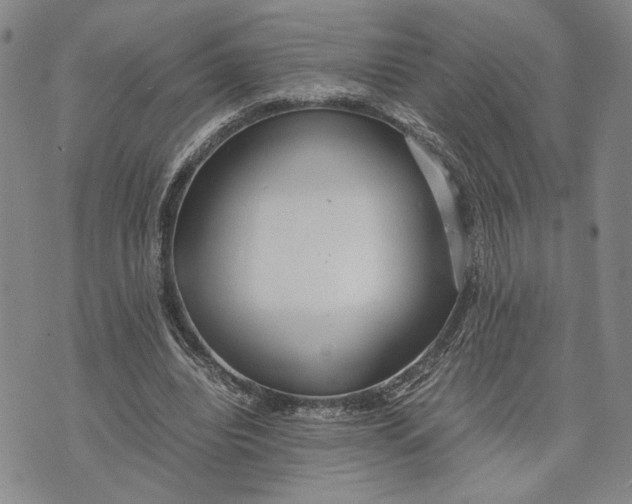 X0000072520440200608041536