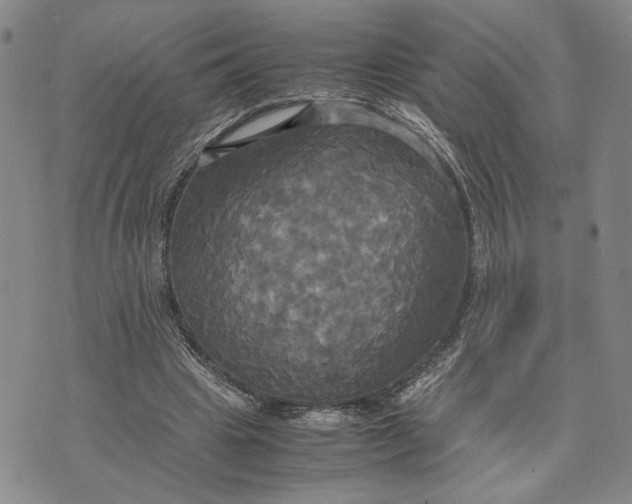 X0000072520441200608041536