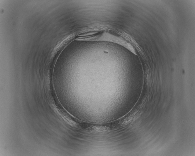 X0000072520442200608041536