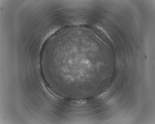 X0000072520443200608041536