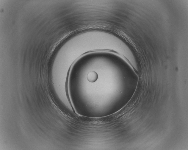 X0000072520444200608041536