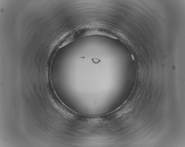 X0000072520446200608041536