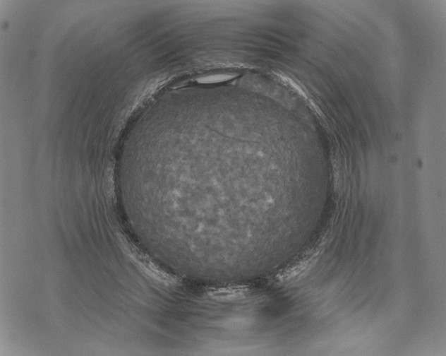 X0000072520447200608041536