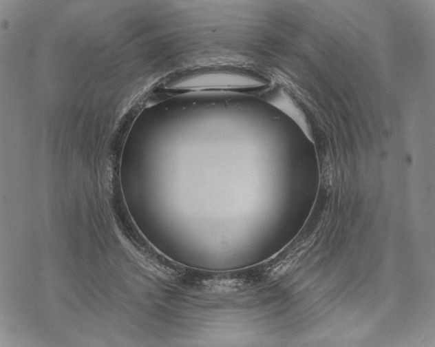 X0000072520448200608041536