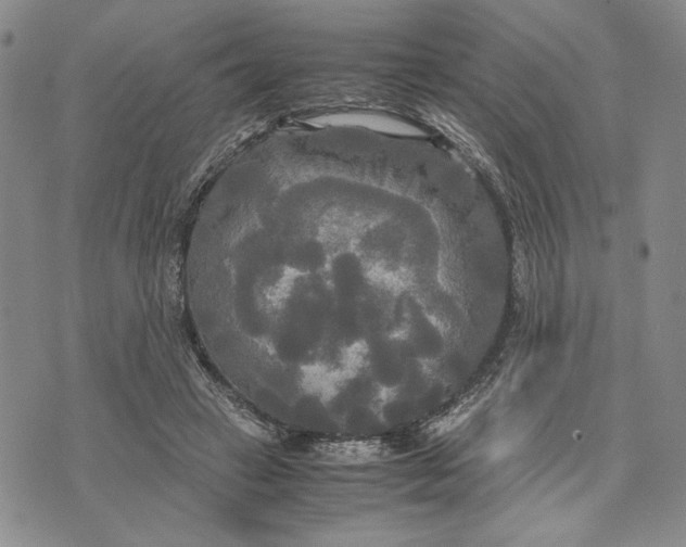 X0000072520449200608041536