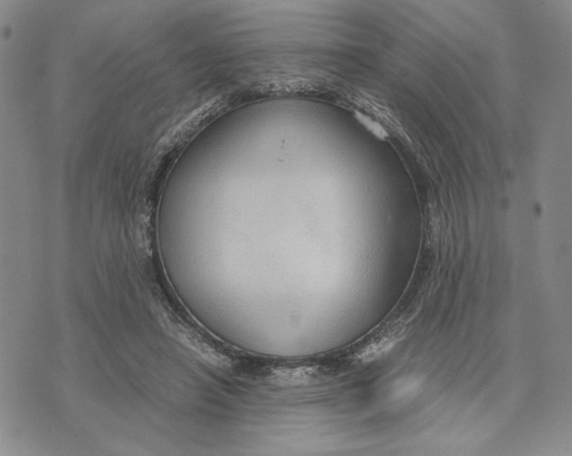 X0000072520450200608041536