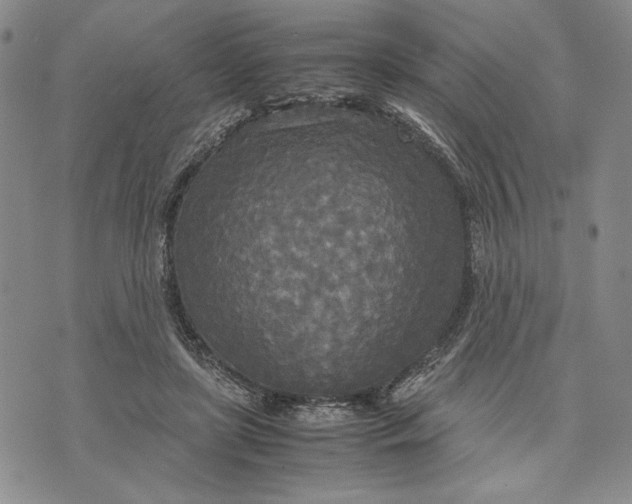 X0000072520451200608041536