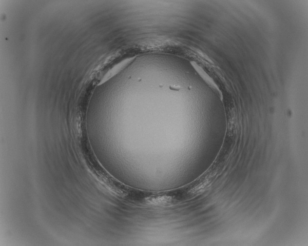 X0000072520452200608041536