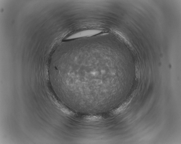 X0000072520453200608041536