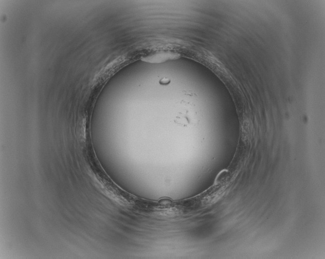 X0000072520454200608041536