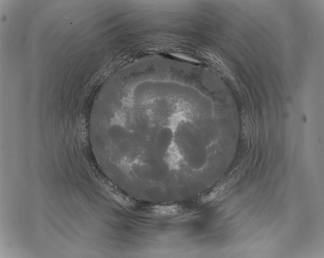 X0000072520457200608041536