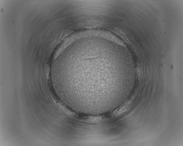 X0000072520458200608041536