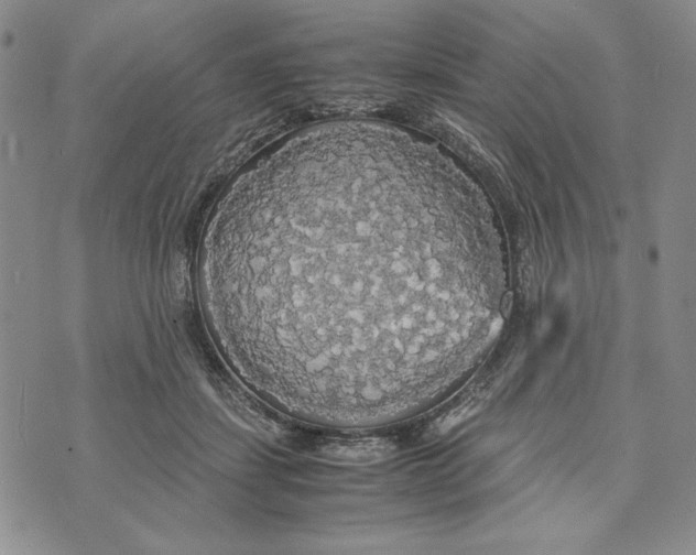 X0000072520459200608041536