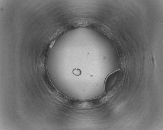 X0000072520460200608041536