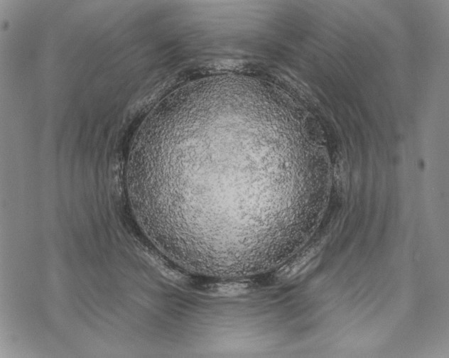 X0000072520462200608041536