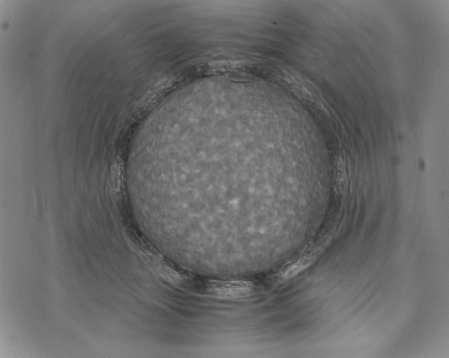 X0000072520463200608041536