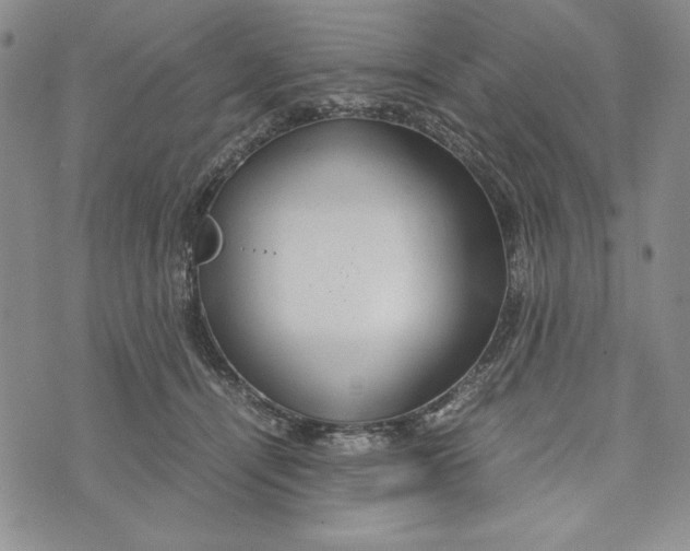 X0000072520464200608041536