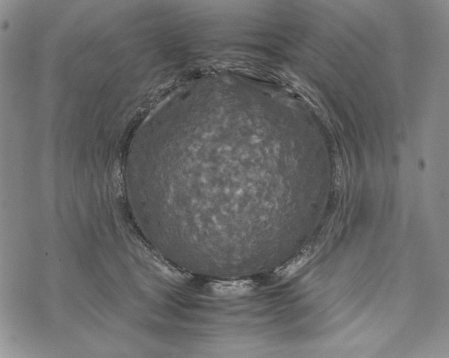 X0000072520465200608041536