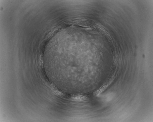 X0000072520467200608041536