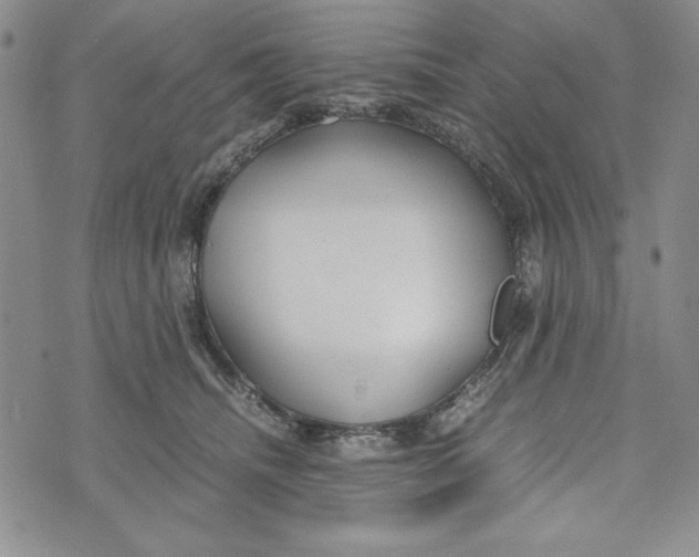 X0000072520468200608041536