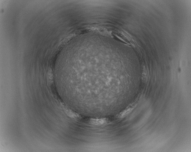 X0000072520469200608041536