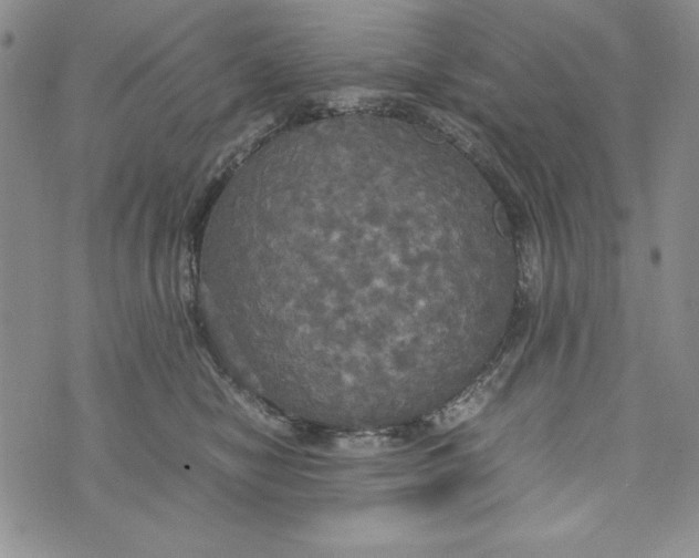 X0000072520470200608041536