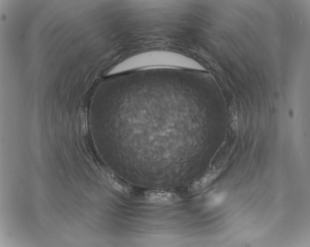 X0000072520471200608041536