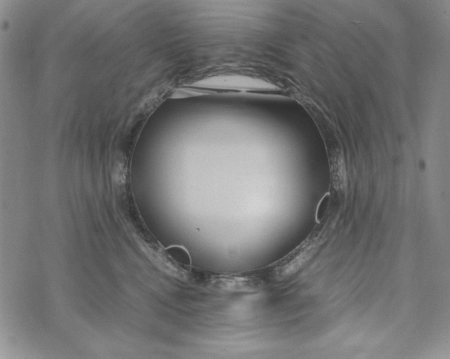 X0000072520472200608041536