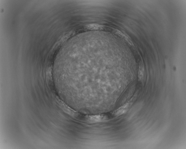 X0000072520473200608041536