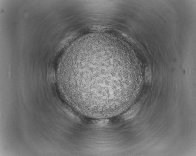 X0000072520474200608041536