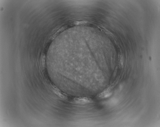 X0000072520475200608041536