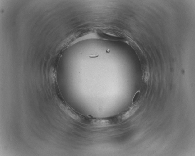 X0000072520476200608041536