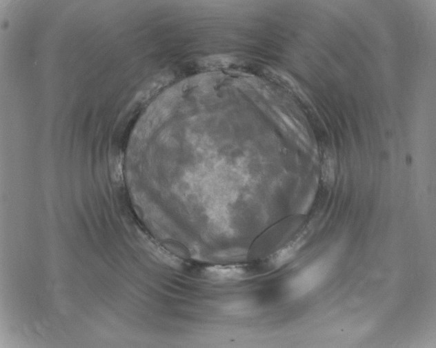 X0000072520477200608041536