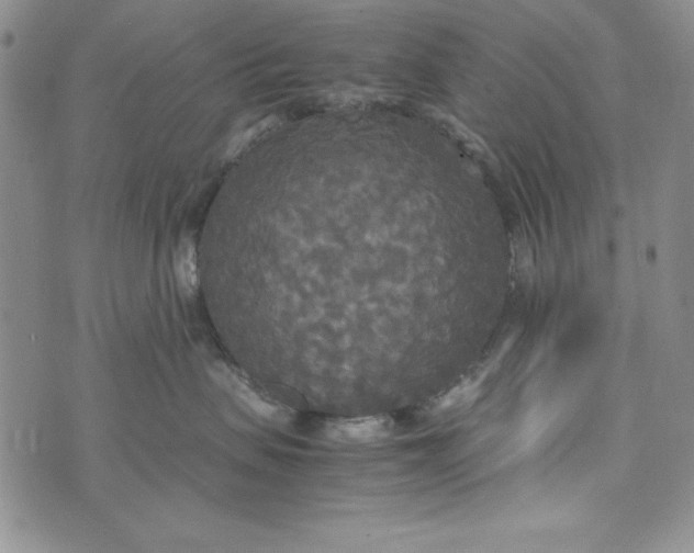 X0000072520479200608041536