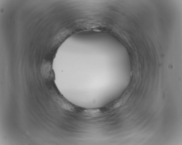 X0000072520480200608041536