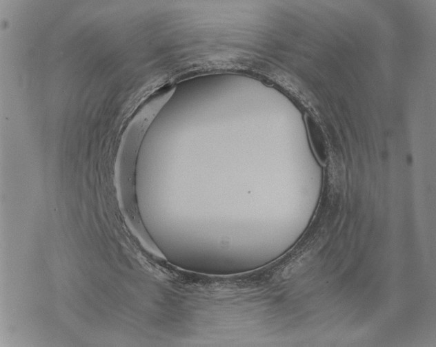 X0000072520481200608041536