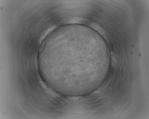 X0000072520482200608041536