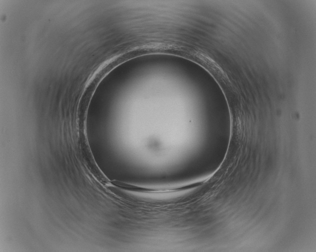 X0000072520484200608041536