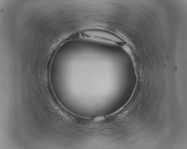 X0000072520485200608041536