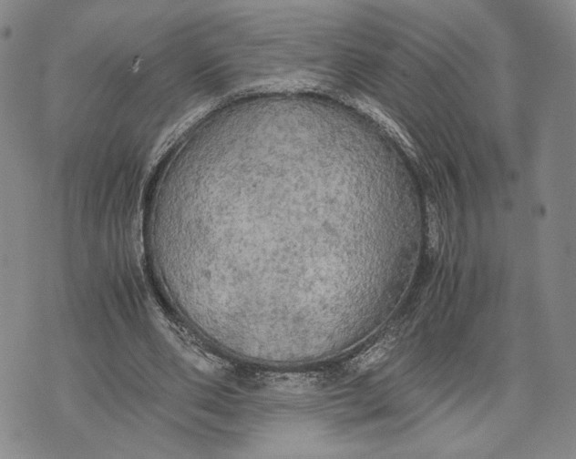 X0000072520486200608041536