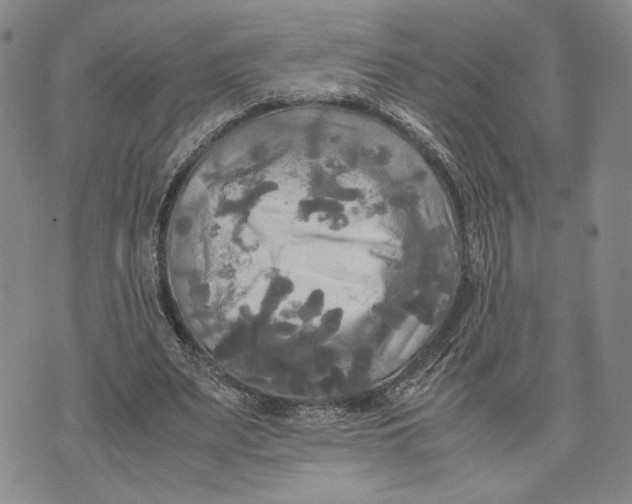 X0000072520487200608041536