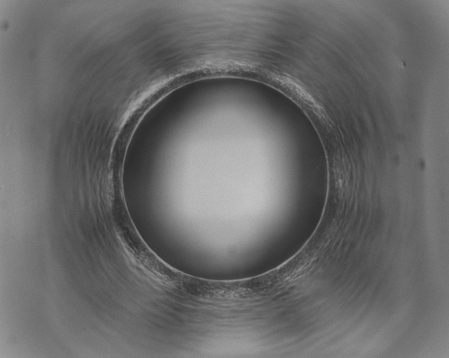 X0000072520488200608041536