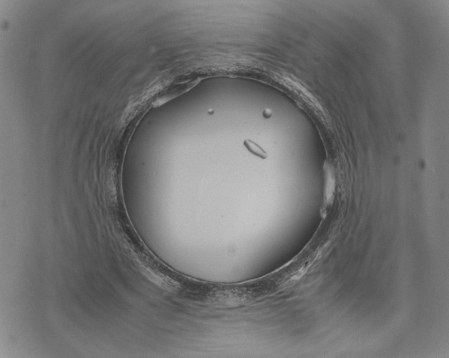 X0000072520489200608041536